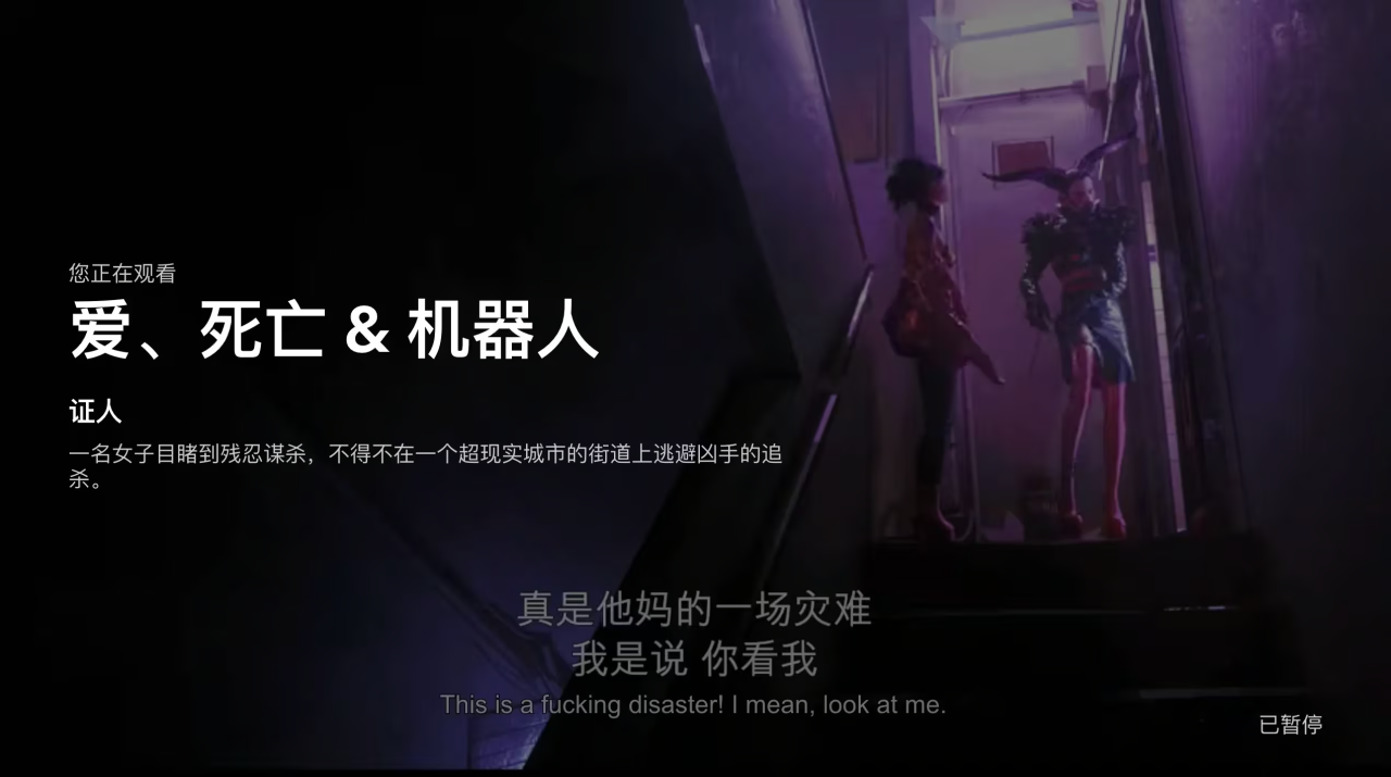 2025年Netflix中文设置完整教程：界面与字幕一键切换简体/繁体中文 3