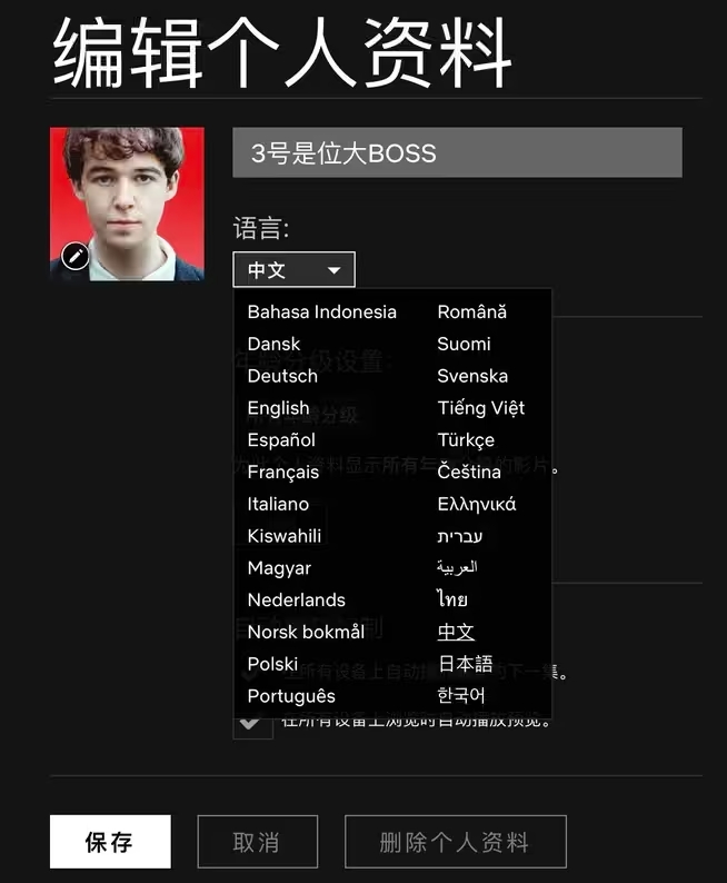 2025年Netflix中文设置完整教程：界面与字幕一键切换简体/繁体中文 profile 3